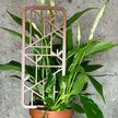 Podpora do roślin Ramka – minimalistyczny trellis do doniczki (2)