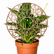 Podpora do roślin Mandala – dekoracyjny trellis do doniczki (1)