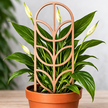 Podpora do roślin Art Deco – dekoracyjna kratka trellis do doniczki (2)