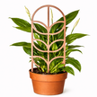 Podpora do roślin Art Deco – dekoracyjna kratka trellis do doniczki (1)