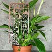 Podpora do roślin Serca – dekoracyjna kratka trellis do doniczki (3)