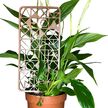 Podpora do roślin Serca – dekoracyjna kratka trellis do doniczki (2)