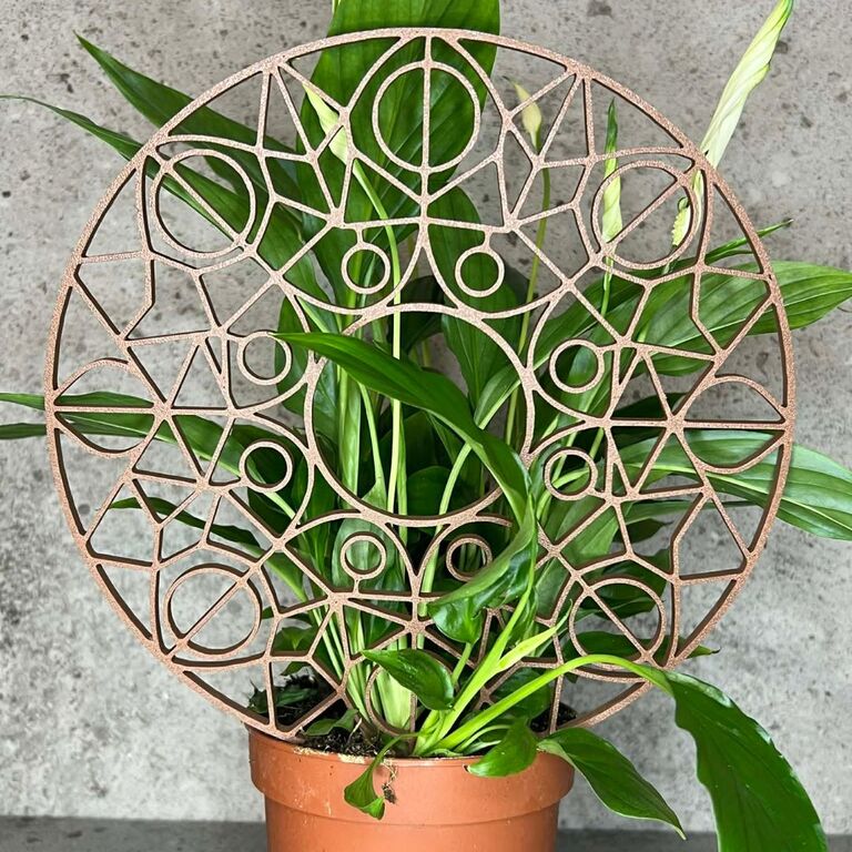 Podpora do roślin Mandala – dekoracyjny trellis do doniczki (3)