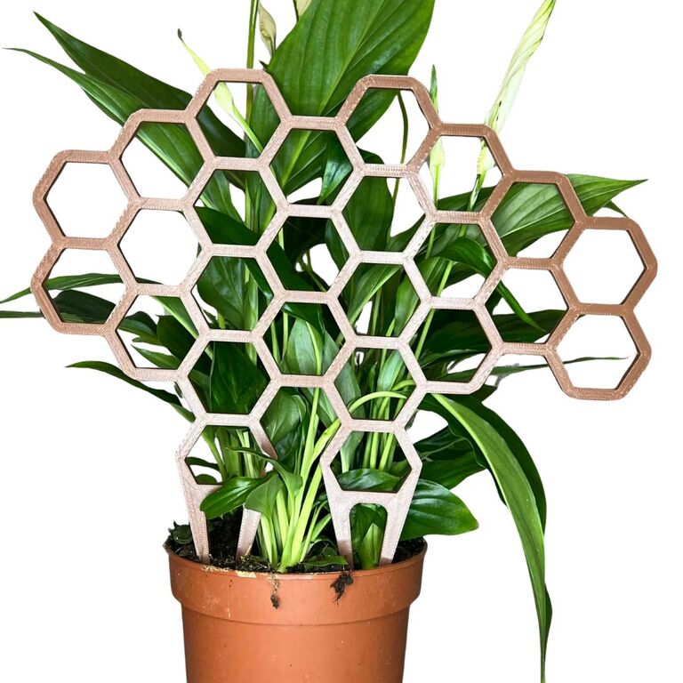 Podpora do roślin „Plaster Miodu” – dekoracyjna kratka do doniczki trellis (2)